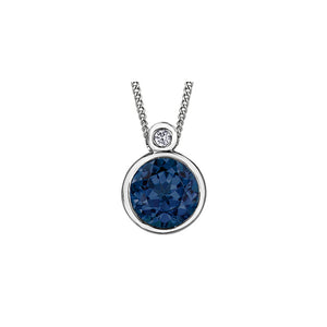 170188 10KT White Gold Blue Sapphire & 0.01CT TW Diamond Pendant