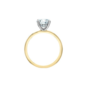 10170YW/150 14KT Yellow Gold 1.64CT TW LAB CREATED Round Solitaire with Lab Created Hidden Halo Ring