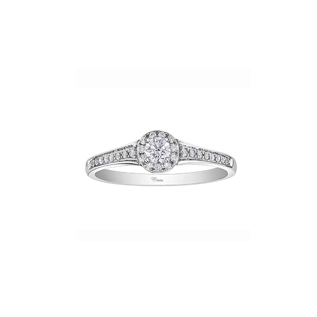 AM528W25 10KT White Gold .25CT TW Canadian Diamond Ring