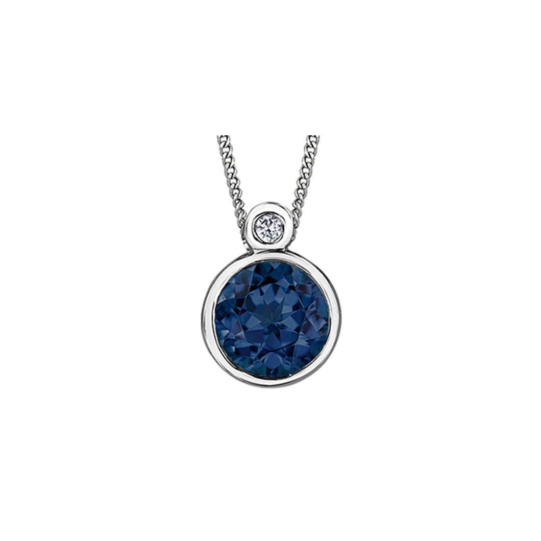 170188 10KT White Gold Blue Sapphire & 0.01CT TW Diamond Pendant