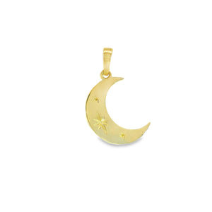 240631 10KT Yellow Gold Moon Charm
