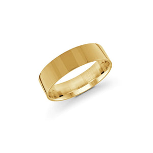 130379 10KT Yellow Gold Size 10 6MM Pipe Band