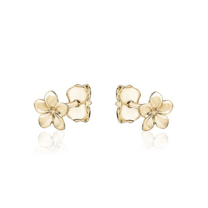 231650 10K Yellow Gold Flower Stud Earrings